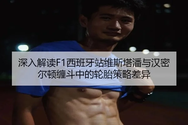 shen-ru-jie-du-xi-ban-ya-zhan-wei-si-ta-pan-yu-han-mi-er-dun-chan-dou-zhong-de-lun-tai-ce-lve-cha-yi-2-839.jpg