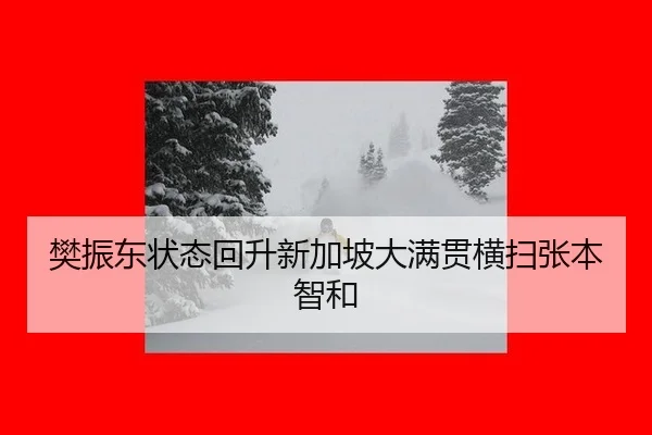 樊振东状态回升新加坡大满贯横扫张本智和