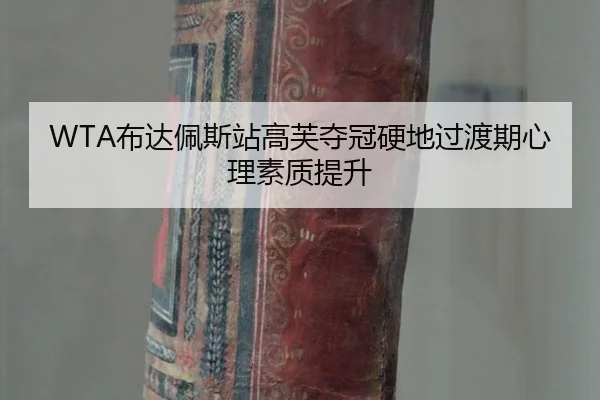 WTA布达佩斯站高芙夺冠硬地过渡期心理素质提升