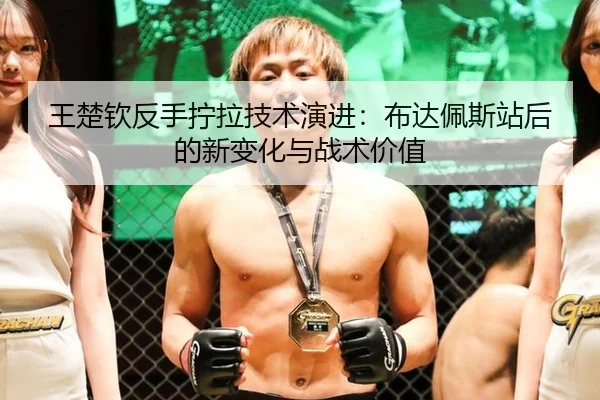 wang-chu-qin-fan-shou-ning-la-ji-shu-yan-jin-bu-da-pei-si-zhan-hou-de-xin-bian-hua-yu-zhan-shu-jia-zhi-2-973.jpg
